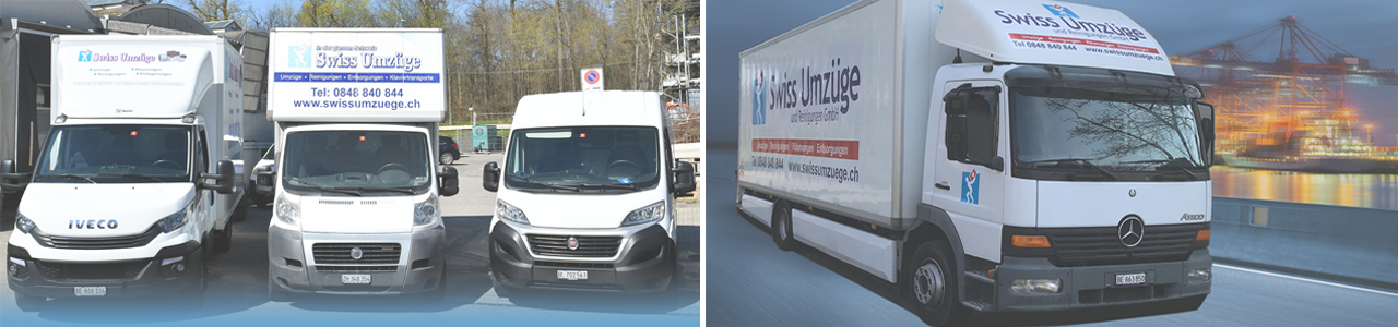 Professional removals and transportation